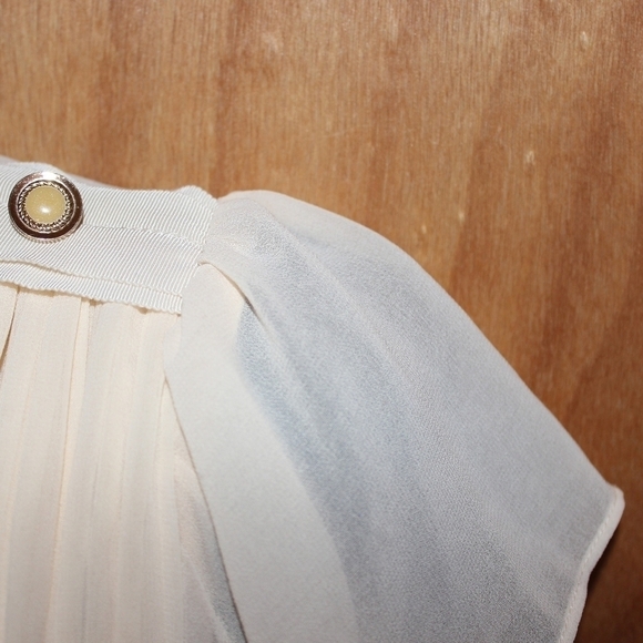 Ecolour Ciffon Pleated Dress - Picture 4 of 9